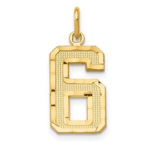 14K Yellow Gold, Varsity Collection, Medium D/C Pendant Number 6